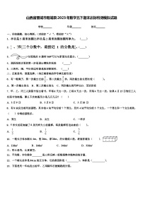 山西省晋城市阳城县2023年数学五下期末达标检测模拟试题含解析