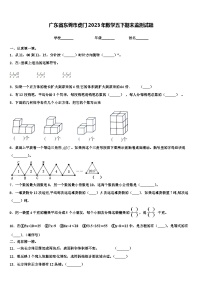 广东省东莞市虎门2023年数学五下期末监测试题含解析