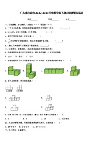 广东省台山市2022-2023学年数学五下期末调研模拟试题含解析