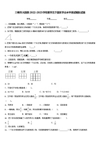 三明市大田县2022-2023学年数学五下期末学业水平测试模拟试题含解析