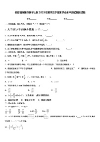 安徽省铜陵市狮子山区2023年数学五下期末学业水平测试模拟试题含解析