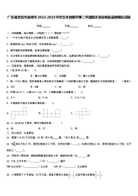 广东省茂名市高州市2022-2023学年五年级数学第二学期期末质量跟踪监视模拟试题含解析