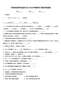 广西壮族河池市凤山县2022-2023学年数学五下期末考试试题含解析