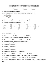 广东省佛山市2023年数学五下期末学业水平测试模拟试题含解析