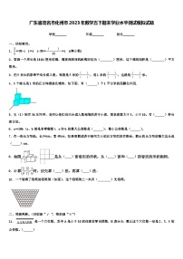 广东省茂名市化州市2023年数学五下期末学业水平测试模拟试题含解析