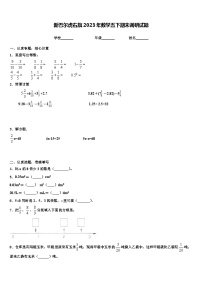 新巴尔虎右旗2023年数学五下期末调研试题含解析