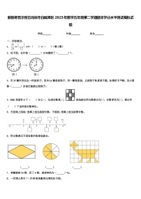 新疆维吾尔克拉玛依市白碱滩区2023年数学五年级第二学期期末学业水平测试模拟试题含解析