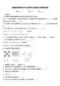 河南省洛阳市嵩县2023年数学五下期末复习检测模拟试题含解析