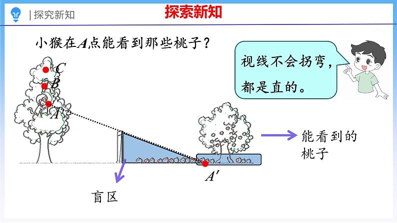 3.2 观察的范围（课件）北师大版六年级上册数学第7页