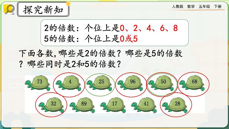 【2023最新插图】人教版五年级下册2.2.1 《2、5的倍数的特征》课件（送教案+练习）07