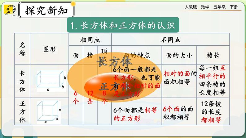 【2023最新插图】人教版五年级下册3.4 《整理和复习》课件（送教案+练习）04