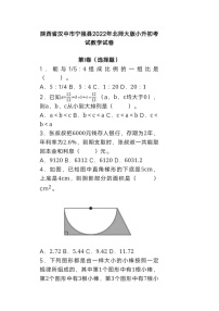 2022年陕西省汉中市宁强县北师大版小升初数学试卷