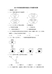 河南省洛阳市嵩县2022-2023学年六年级下学期期末数学试卷