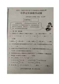 山东省泰安市肥城市2022-2023学年五年级下学期期末考试数学试题