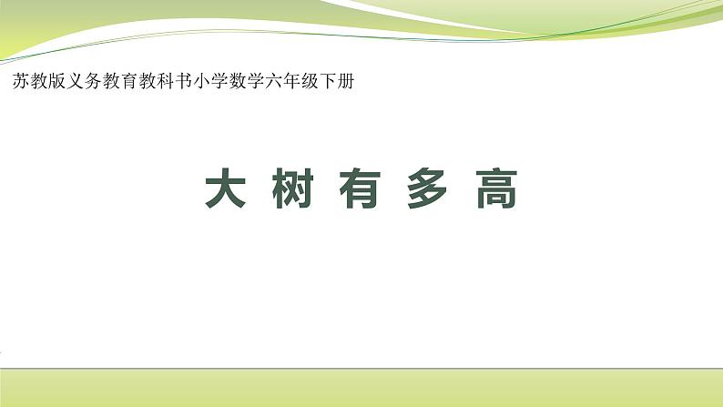 大树有多高 （课件）六年级下册数学-苏教版01