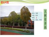 大樹(shù)有多高 （課件）六年級(jí)下冊(cè)數(shù)學(xué)-蘇教版
