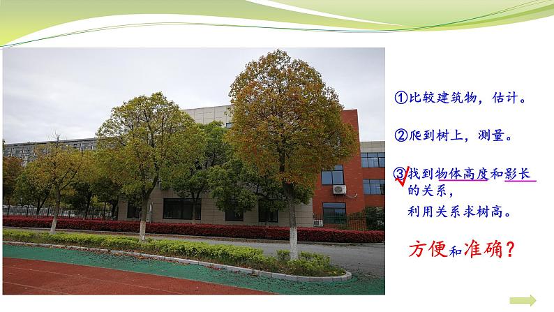 大树有多高 （课件）六年级下册数学-苏教版04