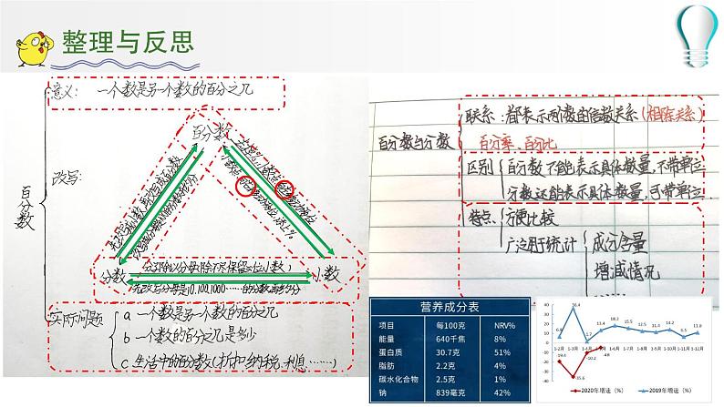 分数和百分数的认识总复习 （课件）六年级下册数学-苏教版第5页