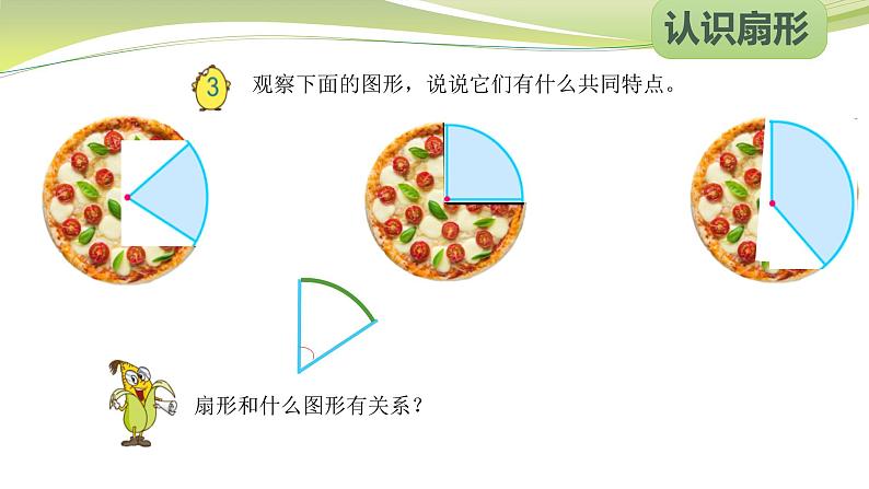 扇形的初步认识（课件）六年级下册数学-苏教版第4页