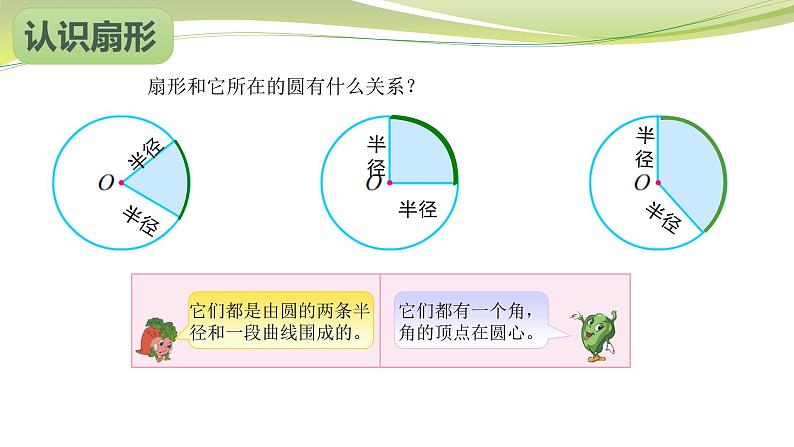 扇形的初步认识（课件）六年级下册数学-苏教版第5页