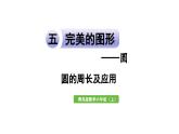 青岛版小学数学六年级上册五完美的图形——圆信息窗2圆的周长及应用教学课件