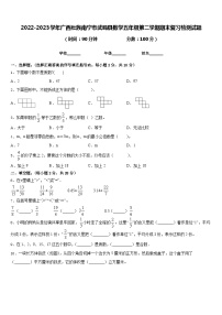 2022-2023学年广西壮族南宁市武鸣县数学五年级第二学期期末复习检测试题含答案