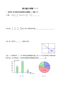 【小升初奥数竞赛培优卷】六年级下册数学-综合能力训练（一）