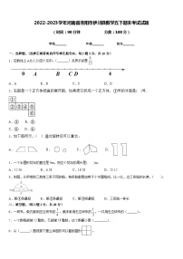 2022-2023学年河南省洛阳市伊川县数学五下期末考试试题含答案