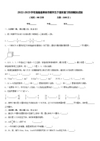 2022-2023学年湖南省娄底市数学五下期末复习检测模拟试题含答案