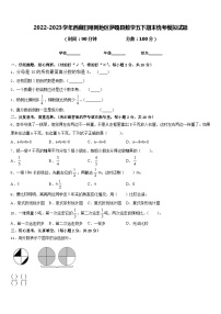 2022-2023学年西藏日喀则地区萨嘎县数学五下期末统考模拟试题含答案