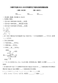 三明市宁化县2022-2023学年数学五下期末达标检测模拟试题含答案