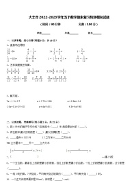 大丰市2022-2023学年五下数学期末复习检测模拟试题含答案