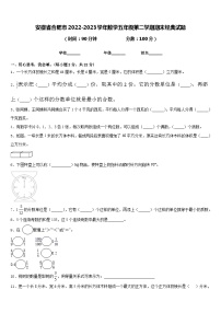 安徽省合肥市2022-2023学年数学五年级第二学期期末经典试题含答案