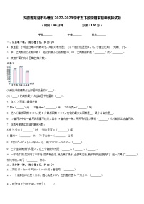 安徽省芜湖市马塘区2022-2023学年五下数学期末联考模拟试题含答案