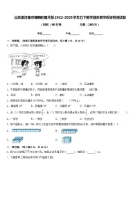 山东省济南市槐荫区图片版2022-2023学年五下数学期末教学质量检测试题含答案