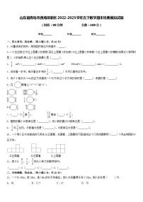 山东省青岛市西海岸新区2022-2023学年五下数学期末经典模拟试题含答案