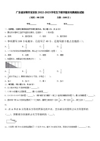 广东省深圳市宝安区2022-2023学年五下数学期末经典模拟试题含答案