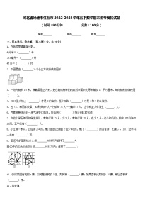 河北省沧州市任丘市2022-2023学年五下数学期末统考模拟试题含答案