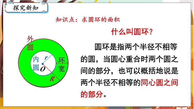 第5课时  圆的面积（2）第3页