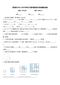 若羌县2022-2023学年五下数学期末复习检测模拟试题含答案