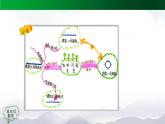 【精品课件】五年级数学上册同步教学课件-植树问题（第4课时）  人教版(共29精品课件PPT)