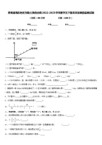 青海省海东地区互助土族自治县2022-2023学年数学五下期末质量跟踪监视试题含答案