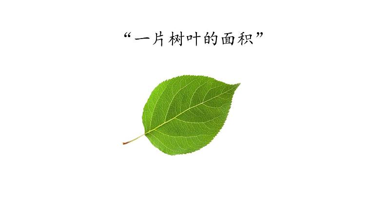 【精品课件】第三单元五年级数学上册同步教学课件-解决问题  人教版(共25精品课件PPT)第3页