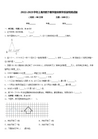 2022-2023学年上海市四下数学期末教学质量检测试题含答案