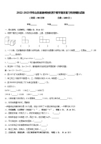 2022-2023学年山东省德州地区四下数学期末复习检测模拟试题含答案