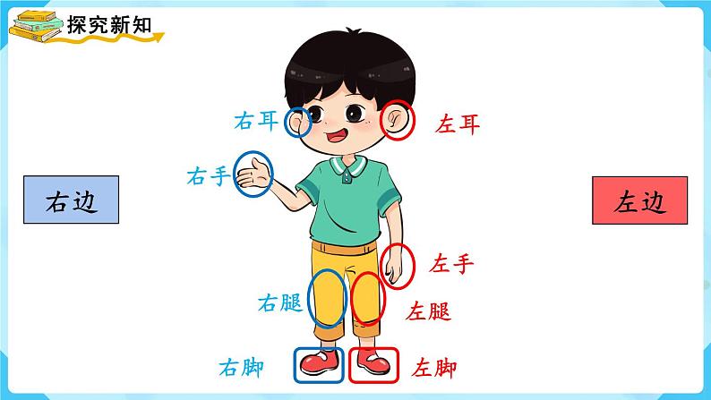 【最新教材插图】人教版数学一上 2.2《左、右》课件第7页