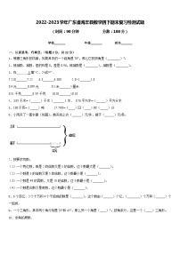 2022-2023学年广东省海丰县数学四下期末复习检测试题含答案