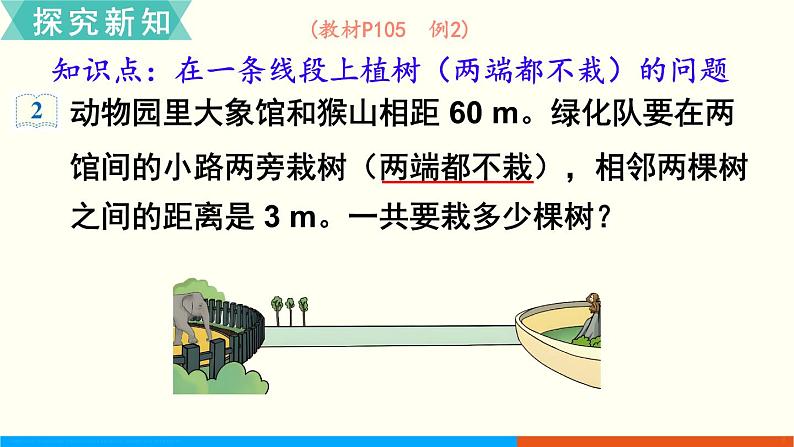 人教数学五年级上册7.2 植树问题（2）课件+教案03