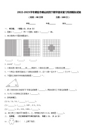 2022-2023学年鹤壁市鹤山区四下数学期末复习检测模拟试题含答案