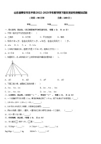 山东省泰安市东平县2022-2023学年数学四下期末质量检测模拟试题含答案